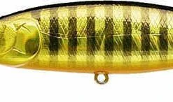 Baits Lucky Craft Pointer 100DD 4 Inch Deep Diving Suspending Jerkbait 39 Baits Lucky Craft Pointer 100DD 4 Inch Deep Diving Suspending Jerkbait