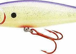 Baits Lucky Craft Pointer 100DD 4 Inch Deep Diving Suspending Jerkbait 41 Baits Lucky Craft Pointer 100DD 4 Inch Deep Diving Suspending Jerkbait