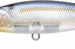 Baits Lucky Craft Pointer 100DD 4 Inch Deep Diving Suspending Jerkbait 50 Baits Lucky Craft Pointer 100DD 4 Inch Deep Diving Suspending Jerkbait