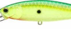 Baits Lucky Craft Pointer 100DD 4 Inch Deep Diving Suspending Jerkbait 64 Baits Lucky Craft Pointer 100DD 4 Inch Deep Diving Suspending Jerkbait