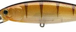 Lucky Craft Pointer 100DD 4 Inch Deep Diving Suspending Jerkbait - Clearance