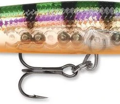 Rapala Down Deep Husky Jerk 10 Deep Diving Jerkbait