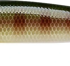 Lucky Craft Lightning Pointer 110XR Fast Diving Jerkbait 8 Lucky Craft Lightning Pointer 110XR Fast Diving Jerkbait