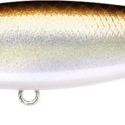 Lucky Craft Pointer 78 Suspending Shallow Jerkbait