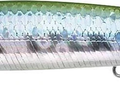 Baits Lucky Craft Saltwater Flash Minnow 110 California Inshore Fishing (CIF) Rip Bait 27 Baits Lucky Craft Saltwater Flash Minnow 110 California Inshore Fishing (CIF) Rip Bait