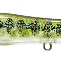 Nomad Design Chug Norris Freshwater/Inshore Popper