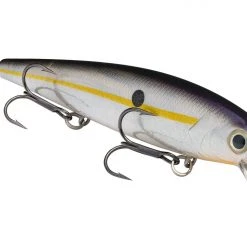 Strike King KVD 300 Series 4 3/4 Inch Suspending Medium Jerkbait Baits 40 Strike King KVD 300 Series 4 3/4 Inch Suspending Medium Jerkbait Baits