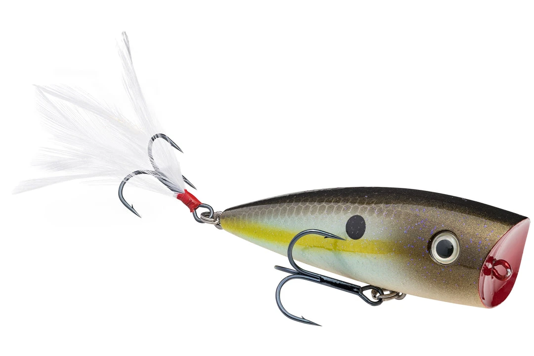 Strike King KVD Splash Topwater Popper 6 Strike King KVD Splash Topwater Popper