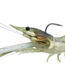 LIVETARGET Fleeing Shrimp 24 LIVETARGET Fleeing Shrimp