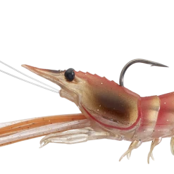 LIVETARGET Fleeing Shrimp 26 LIVETARGET Fleeing Shrimp