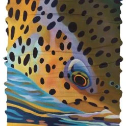 BUFF CoolNet UV+ Buffs A.D. Maddox Collection Apparel