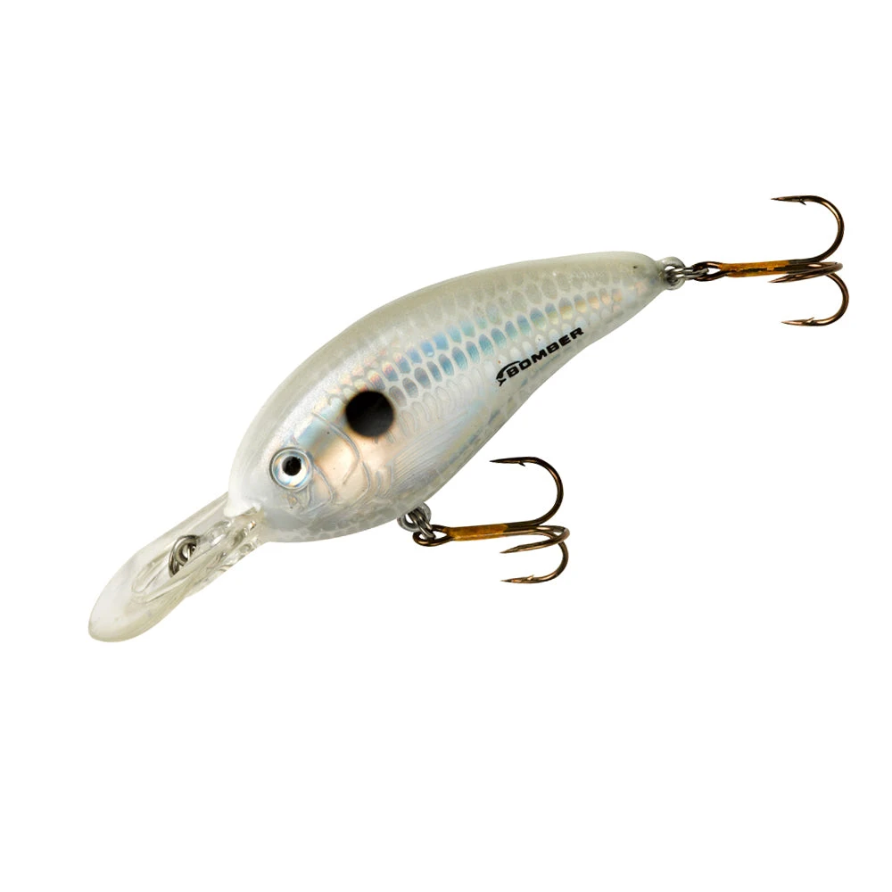 Baits Bomber Fat Free Shad Fingerling 2 3/8 Inch Deep Diving Crankbait 6 Baits Bomber Fat Free Shad Fingerling 2 3/8 Inch Deep Diving Crankbait