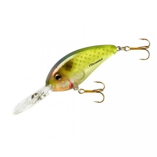 Baits Bomber Fat Free Shad Fingerling 2 3/8 Inch Deep Diving Crankbait 11 Baits Bomber Fat Free Shad Fingerling 2 3/8 Inch Deep Diving Crankbait