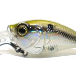 6th Sense Curve 55 Medium Diving Crankbait