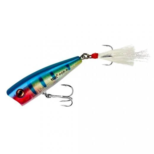 Baits Rebel Pop-R Topwater Popper 1 Baits Rebel Pop-R Topwater Popper