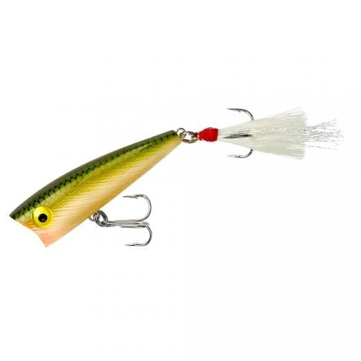 Baits Rebel Pop-R Topwater Popper 36 Baits Rebel Pop-R Topwater Popper