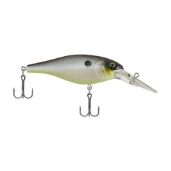 Berkley Bad Shad Medium Diving Crankbait 32 Berkley Bad Shad Medium Diving Crankbait
