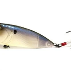 Baits 6th Sense Splash Back Topwater Popper