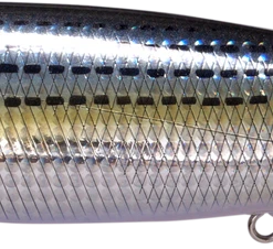 Megabass Megadog 8.6 Inch Topwater Walker