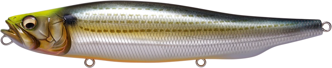 Megabass Megadog 8.6 Inch Topwater Walker 6 Megabass Megadog 8.6 Inch Topwater Walker