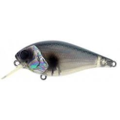 River2Sea Ish Monroe Biggie Smalls Bumpin Rattle Fast Baits