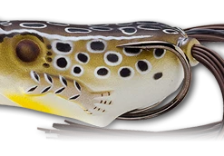 LIVETARGET Popper Frog Hollow Body Topwater Frog 37 LIVETARGET Popper Frog Hollow Body Topwater Frog