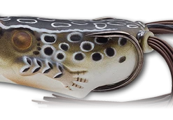 LIVETARGET Popper Frog Hollow Body Topwater Frog 25 LIVETARGET Popper Frog Hollow Body Topwater Frog