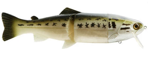 Castaic Hard Head 6 Inch Slow Sinking Soft Body Swimbait 1 Castaic Hard Head 6 Inch Slow Sinking Soft Body Swimbait