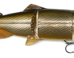 Castaic Hard Head 6 Inch Slow Sinking Soft Body Swimbait 7 Castaic Hard Head 6 Inch Slow Sinking Soft Body Swimbait