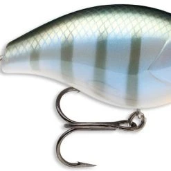 Baits Storm Arashi Silent Square Bill 2 3/8" 20 Baits Storm Arashi Silent Square Bill 2 3/8