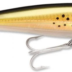 Baits Rapala X-Rap Saltwater Sxr-10 4"
