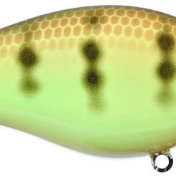 Strike King Kvd Square Bill 1.0 Silent Crankbaits 24 Strike King Kvd Square Bill 1.0 Silent Crankbaits