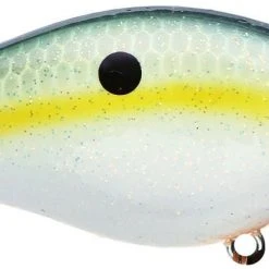 Strike King Kvd Square Bill 1.0 Silent Crankbaits 25 Strike King Kvd Square Bill 1.0 Silent Crankbaits