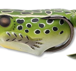 LIVETARGET Popper Frog Hollow Body Topwater Frog 34 LIVETARGET Popper Frog Hollow Body Topwater Frog