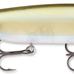 Baits Storm Arashi Top Walker 4 1/4