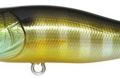 Megabass Pop-X Baits