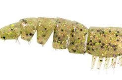 Baits Z Man Ez Shrimpz 3.5