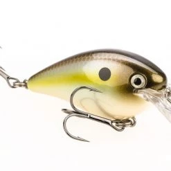Strike King KVD Square Bill 1.5 Silent Crankbaits