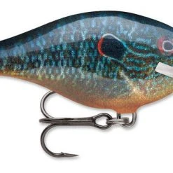 Rapala Scatter Rap Crank Shallow 2 3/4" Baits 37 Rapala Scatter Rap Crank Shallow 2 3/4
