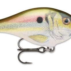 Rapala Scatter Rap Crank Shallow 2 3/4" Baits 38 Rapala Scatter Rap Crank Shallow 2 3/4