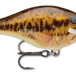 Rapala Scatter Rap Crank Shallow 2 3/4" Baits 39 Rapala Scatter Rap Crank Shallow 2 3/4