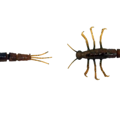 Baits Savage Gear 3D Tpe Mayfly Nymph Soft Plastic Creature