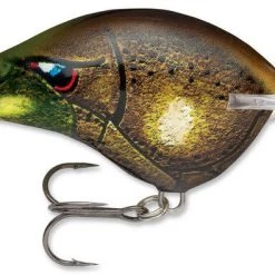 Baits Rapala Dt Series Crankbait Dt14