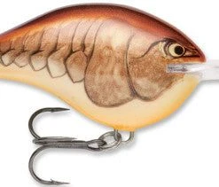 Baits Rapala Dt Series Crankbait Dt Metal 20 25 Baits Rapala Dt Series Crankbait Dt Metal 20