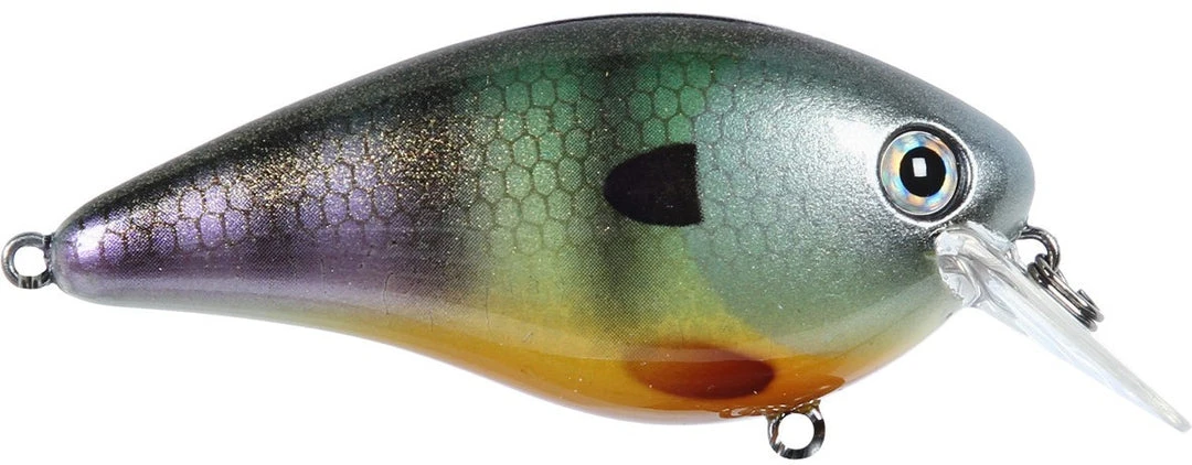 Strike King Kvd Square Bill 1.0 Silent Crankbaits 14 Strike King Kvd Square Bill 1.0 Silent Crankbaits