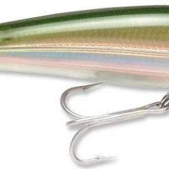 Baits Rapala X-Rap Saltwater Sxr-10 4