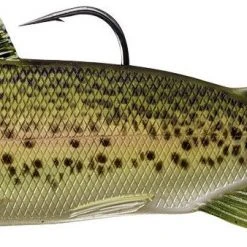 Livetarget Trout Adult Swimbait 7 1/2"