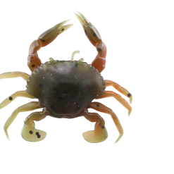 Savage Gear 3D Pvc Crab Sinking Soft Plastic Creature