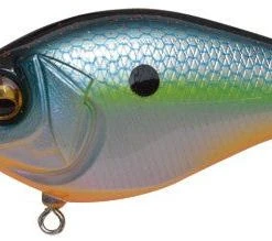 Megabass Knuckle Ld Crankbait 16 Megabass Knuckle Ld Crankbait