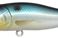 Megabass Pop-X Baits